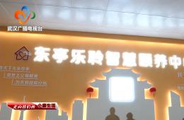 中宣部采访团到访武汉东亭社区优惠活动办理大厅智慧保养中心