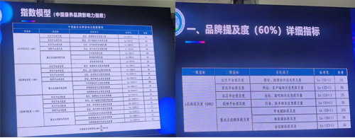 20251107021937237 优惠活动办理大厅 -首页